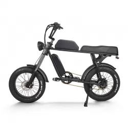 20 Inch Electric Bicycle For Adults Power Assist Off Road Mountain Bike With Lithium Battery For Shock Absorption