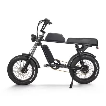 20 Inch Electric Bicycle For Adults Power Assist Off Road Mountain Bike With Lithium Battery For Shock Absorption