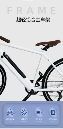 Aluminum Alloy Electric Bicycle Power Assisted Anti Slip Double Disc Brake Finger Shift Electric Mountain Bike With Large Capacity Battery