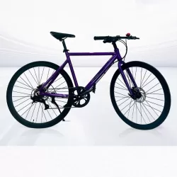 Aluminum Alloy Bicycle Blueprint Finger Shift Speed Fitness Sports Cycling Bike Mountain Bike Anti Slip Double Disc Brake