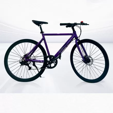 Aluminum Alloy Bicycle Blueprint Finger Shift Speed Fitness Sports Cycling Bike Mountain Bike Anti Slip Double Disc Brake