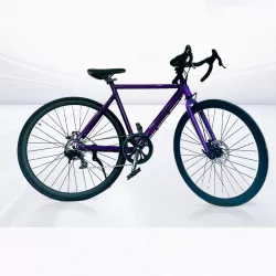 Aluminum Alloy Bicycle Blueprint Finger Shift Speed Fitness Sports Cycling Bike Mountain Bike Anti Slip Double Disc Brake