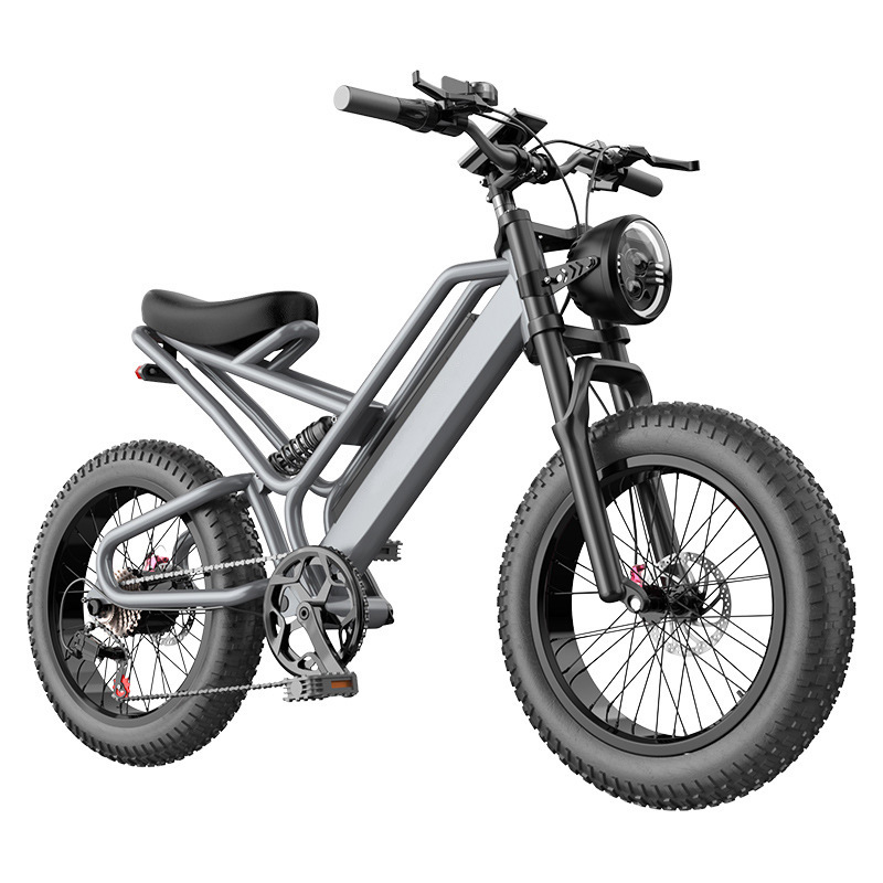 20 Inch Anti Skid Electric Bicycle For Adults Power Assist Off Road Mountain Bike With Lithium Battery For Shock Absorption