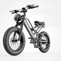 20 Inch Anti Skid Electric Bicycle For Adults Power Assist Off Road Mountain Bike With Lithium Battery For Shock Absorption