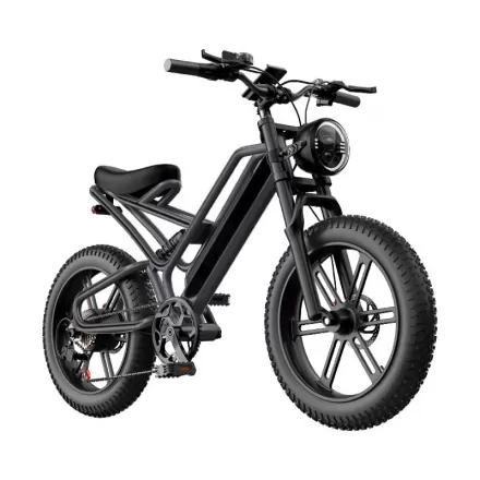 20 Inch Anti Skid Electric Bicycle For Adults Power Assist Off Road Mountain Bike With Lithium Battery For Shock Absorption