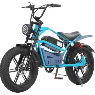 20 Inch Aluminum Alloy Front Rear Motorcycle With Hydraulic Brakes Extended Seat Snow Thick Tires Retro Style Bicycle