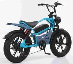 20 Inch Aluminum Alloy Front Rear Motorcycle With Hydraulic Brakes Extended Seat Snow Thick Tires Retro Style Bicycle