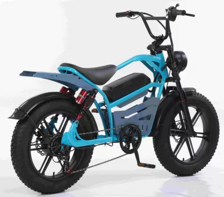 20 Inch Aluminum Alloy Front Rear Motorcycle With Hydraulic Brakes Extended Seat Snow Thick Tires Retro Style Bicycle