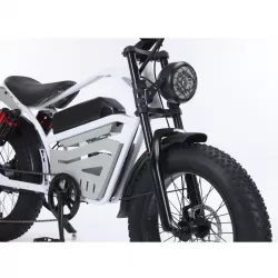 20 Inch Aluminum Alloy Front Rear Motorcycle With Hydraulic Brakes Extended Seat Snow Thick Tires Retro Style Bicycle