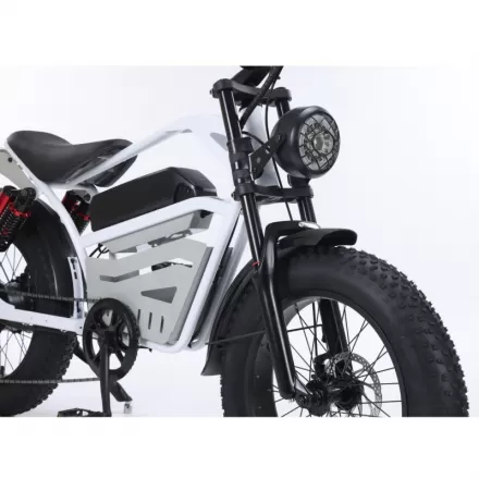 20 Inch Aluminum Alloy Front Rear Motorcycle With Hydraulic Brakes Extended Seat Snow Thick Tires Retro Style Bicycle