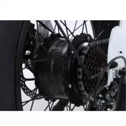20 Inch Aluminum Alloy Front Rear Motorcycle With Hydraulic Brakes Extended Seat Snow Thick Tires Retro Style Bicycle
