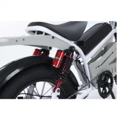 20 Inch Aluminum Alloy Front Rear Motorcycle With Hydraulic Brakes Extended Seat Snow Thick Tires Retro Style Bicycle