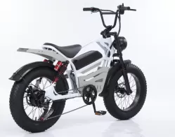 20 Inch Aluminum Alloy Front Rear Motorcycle With Hydraulic Brakes Extended Seat Snow Thick Tires Retro Style Bicycle