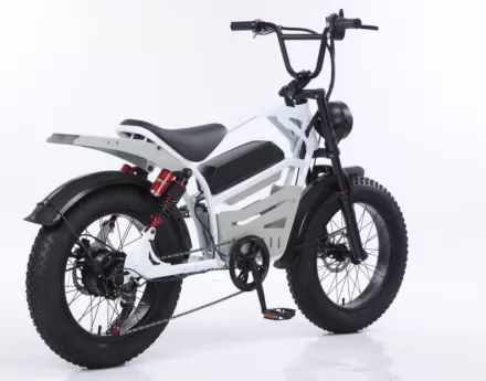 20 Inch Aluminum Alloy Front Rear Motorcycle With Hydraulic Brakes Extended Seat Snow Thick Tires Retro Style Bicycle