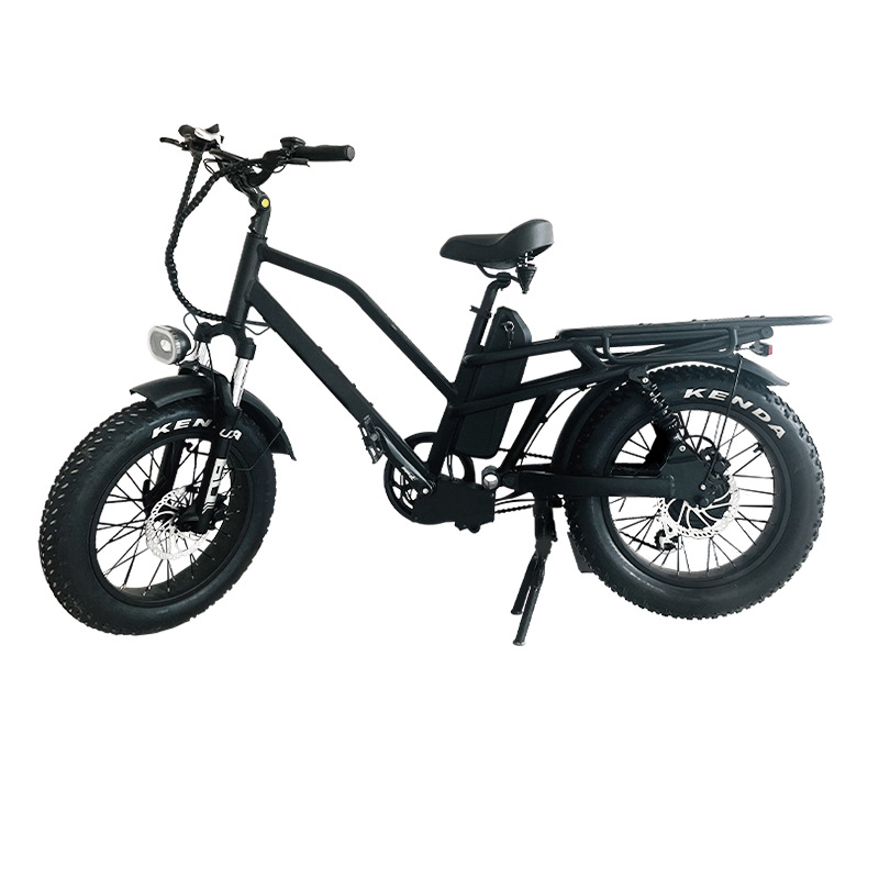 Shock Absorption Anti Slip Power Assist Electric Bicycle 250W Off Road Vehicle Smart Mountain Bike Aluminum Alloy Snowmobile Lithium Battery