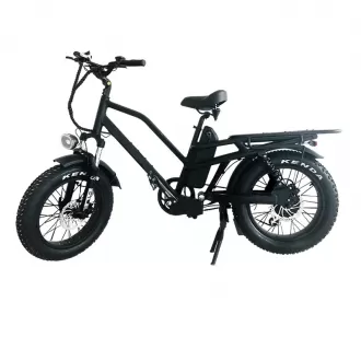 Shock Absorption Anti Slip Power Assist Electric Bicycle 250W Off Road Vehicle Smart Mountain Bike Aluminum Alloy Snowmobile Lithium Battery