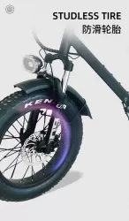 Shock Absorption Anti Slip Power Assist Electric Bicycle 250W Off Road Vehicle Smart Mountain Bike Aluminum Alloy Snowmobile Lithium Battery