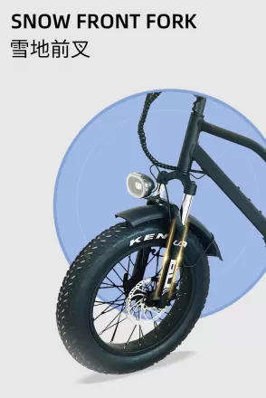 Shock Absorption Anti Slip Power Assist Electric Bicycle 250W Off Road Vehicle Smart Mountain Bike Aluminum Alloy Snowmobile Lithium Battery