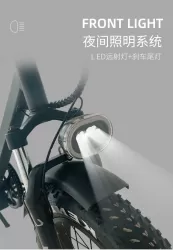 Shock Absorption Anti Slip Power Assist Electric Bicycle 250W Off Road Vehicle Smart Mountain Bike Aluminum Alloy Snowmobile Lithium Battery