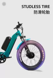 Aluminum Alloy Electric Bicycle Large Capacity Battery With Instrument Shock Absorption Double Disc Brake Anti Skid Tire Mountain Bike