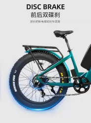 Aluminum Alloy Electric Bicycle Large Capacity Battery With Instrument Shock Absorption Double Disc Brake Anti Skid Tire Mountain Bike