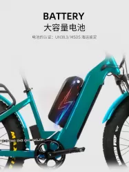 Aluminum Alloy Electric Bicycle Large Capacity Battery With Instrument Shock Absorption Double Disc Brake Anti Skid Tire Mountain Bike