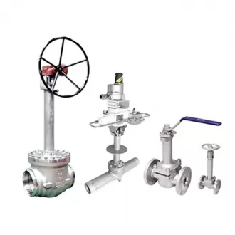 Cryogenic Flange Globe Valve for Water Steam Oil Nitric Acid