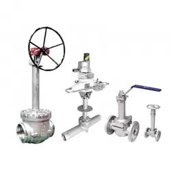 Cryogenic Straight Angle Y Pattern Bellows Seal Flange Manual Stainless Steel Cast Steel Stop Globe Valve