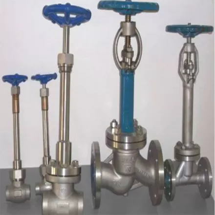 Cryogenic Globe Valve OEM Low Temperature Long Stem Stop Valve Gas Control Stainless Steel Welding Valve