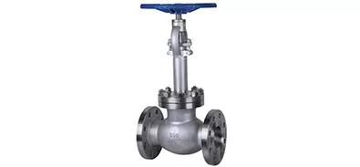 Cryogenic Insulated Vacuum valve
