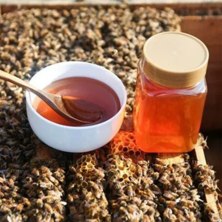 Black Buckwheat Flower Organic Honey