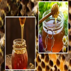 Black Buckwheat Flower Organic Honey