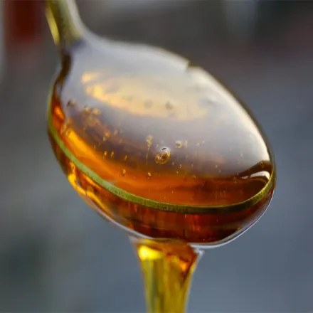 Raw Linden Honey