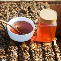 Nutrient Rich Natural Rapeseed Honey