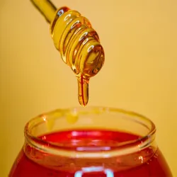 Excellent Quality Sunflower Honey