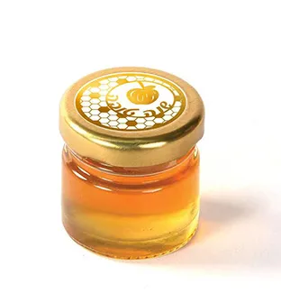 350 ML Design